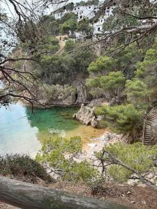 Blick auf einen Strand mit grünem Wasser und Bäumen in der Unterkunft Maison Begur vue mer -piscine - à pied de la cala in Palafrugell