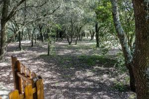 a wooden bench in a wooded area with trees at villa queen-south IT in Ventenac-Cabardès