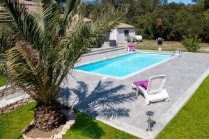 a pool with two chairs and a palm tree next to it at villa queen-south IT in Ventenac-Cabardès +5 photos