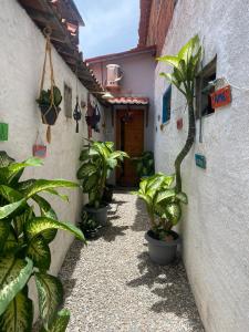 eine Gasse mit Topfpflanzen vor einem Gebäude in der Unterkunft Lotus Flat - Canoa Quebrada in Aracati