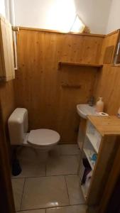 a small bathroom with a toilet and a sink at Beautiful, renovated fully self contained room in Brussels