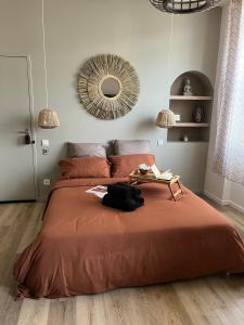 1 dormitorio con 1 cama con sábanas de color naranja y espejo en SUITE Serenity Room SPA- Balnéothérapie en Saint-Étienne