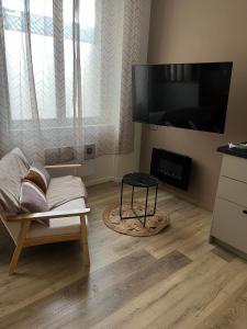 salon z kanapą, telewizorem i kominkiem w obiekcie SUITE Serenity Room SPA- Balnéothérapie w mieście Saint-Étienne