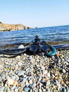 a pair of goggles sitting on a rocky beach at ART STUDIO capitain in Sinemorets