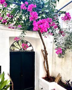 a tree in front of a door with pink flowers at Casa Coltura in Parabita