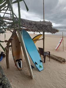 un grupo de tablas de surf sentadas en la playa en Moragalla Beach Apartments, en Moragalla