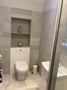 a bathroom with a toilet and a sink at Owlhoot Annexe in Sudbury