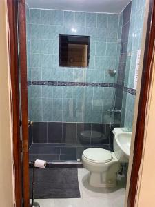 een badkamer met een toilet, een douche en een wastafel bij Clásico apartamento en Santo Domingo Este in El Seis