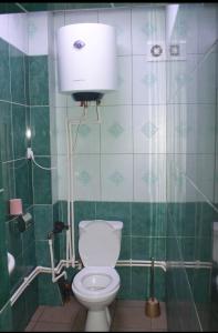 a green bathroom with a toilet and a shower at House in downtown in Bălţi