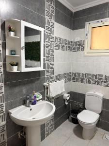 łazienka z umywalką i toaletą w obiekcie Joe Excellence Residence w Kairze