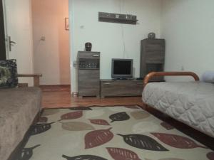 Μια τηλεόραση ή/και κέντρο ψυχαγωγίας στο Tanias Apartment