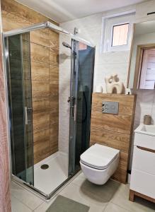 a bathroom with a toilet and a glass shower at REST HOUSE WDZYDZE DOMKI NAD JEZIOREM in Wdzydze Kiszewskie