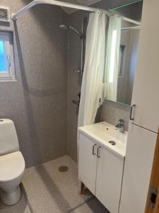 een badkamer met een douche, een toilet en een wastafel bij Storebælt camping in Korsør