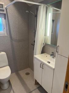 a bathroom with a shower and a toilet and a sink at Storebælt camping in Korsør