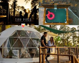 入住Tiny Pines A-Frame Cabin, Domes and Luxury Glamping Site的客人