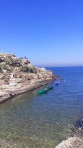 a group of boats in a body of water at Alba b&b in Polignano a Mare