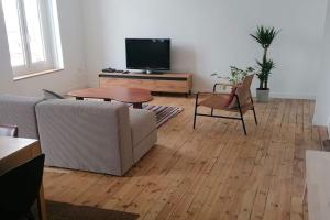 uma sala de estar com um sofá, uma mesa e uma televisão em Appart cœur de ville belle vue em Vichy