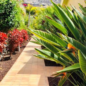 Um jardim em Holiday Club Playa Amadores