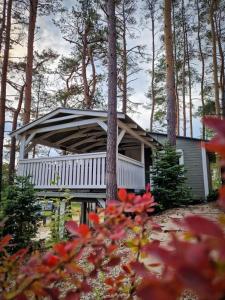 a small house in the middle of a forest at REST HOUSE WDZYDZE DOMKI NAD JEZIOREM in Wdzydze Kiszewskie