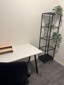 a white desk with two potted plants next to a shelf at Serenity Residence in The Hague