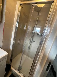 a shower with a glass door in a bathroom at Large Studio With Extra Sofa Bed and private bath plus kitchen Canary Wharf 1 in London