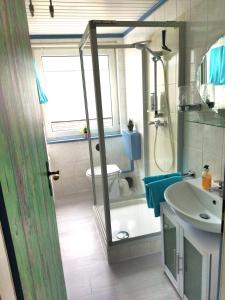 a bathroom with a shower and a sink and a toilet at Ferienhaus Loreleytal in Boppard