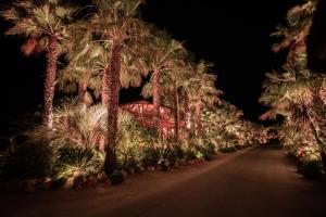 a street lined with palm trees at night at Toison D'or in Saint-Tropez