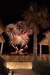 a firework display at night with a palm tree at Toison D'or in Saint-Tropez