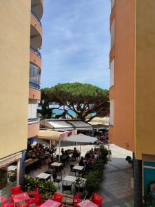 Naturlandskabet i nærheden af lejligheden + 5 billeder