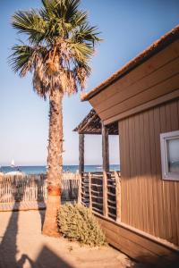 a building and a palm tree next to the beach at Toison D'or in Saint-Tropez