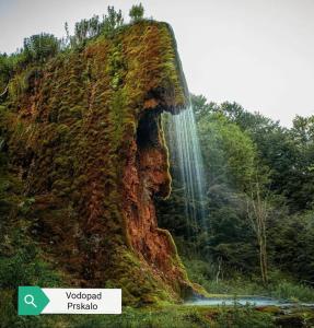 Příroda nedaleko apartmánu