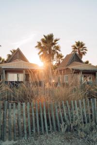 a house with palm trees in front of a fence at Toison D'or in Saint-Tropez