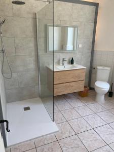 Koupelna v ubytování La Marelle chambre d hôtes à 500m du Canal du Midi + 35 fotografií