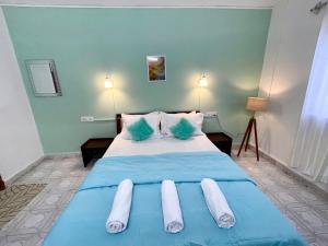 a bedroom with a bed with blue sheets and pillows at Luxurious 2 BHK Villa AniRah Homes 2 minutes to beach in Colva