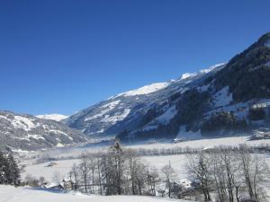 een met sneeuw bedekte vallei met bomen en bergen bij Ferienwohnung Sporer in Hippach +5 foto's