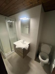 W łazience znajduje się toaleta, umywalka i prysznic. w obiekcie Auberge de l'Ours w mieście Les Collons
