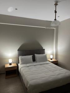 1 dormitorio con 1 cama grande y 2 mesitas de noche en Cozy Home en Gastoúni