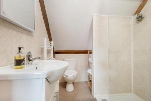 a bathroom with a sink and a toilet and a shower at Kidwelly Farmhouse B&B in Kidwelly