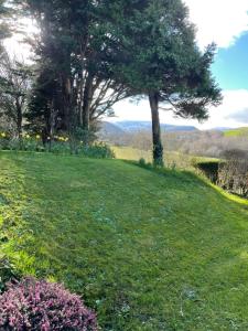 Una colina de hierba con un árbol encima. en Rhiwiau Guesthouse, en Llanfairfechan