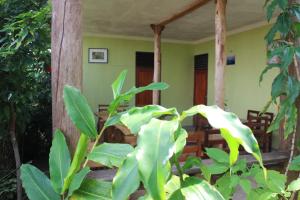 une terrasse couverte d'une maison ornée de plantes vertes dans l'établissement Kibale Eco-Home, à Bigodi