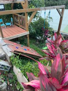 Zahrada ubytování La Casita Ilohë