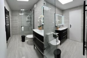 a bathroom with a shower and a toilet and a sink at Magnificient Parisian Flat - Parisian heart in Paris