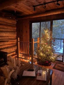 a living room with a christmas tree in a cabin at John Wayne Cedar Oasis in Cookstown