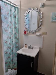 un bagno con lavandino, specchio e tenda per la doccia di Casa Amistad a Ciudad Acuña