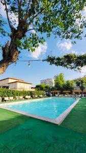 una gran piscina con césped verde y un árbol en villa Anny, en Rímini