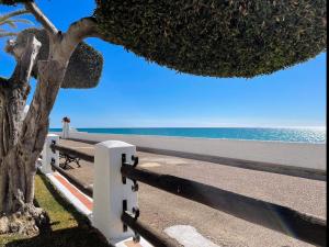 um banco ao lado da praia com uma árvore em Apartment Raco em Barcelona