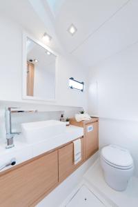 ein Bad mit einem Waschbecken und einem WC in der Unterkunft PARDO YACHT 38 in Saint-Laurent-du-Var