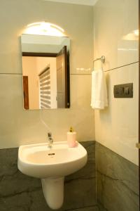 a bathroom with a white sink and a mirror at Coconut Palms Village Homestay in Kumarakom