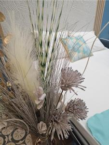 瓦伦西亚Lounge garden sea relax的相册照片