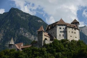 um castelo no topo de uma colina com uma montanha em Hotel Hofbalzers em Balzers